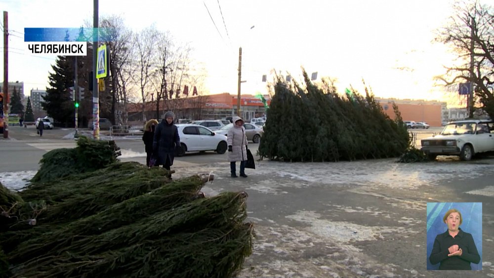 В Челябинске открылись елочные базары