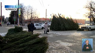 В Челябинске открылись елочные базары
