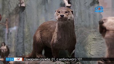 Исчезающие виды животных в сюжете «Красная книга Челябинской области»