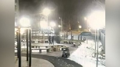 В Челябинске неизвестные украли четырехметровую ель с набережной озера Смолино