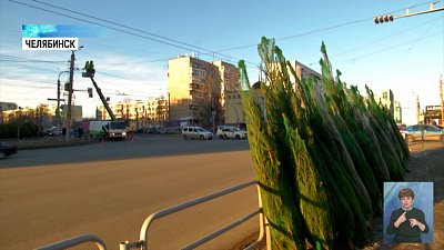 Телеканал «ОТВ» проводит рейд по елкам