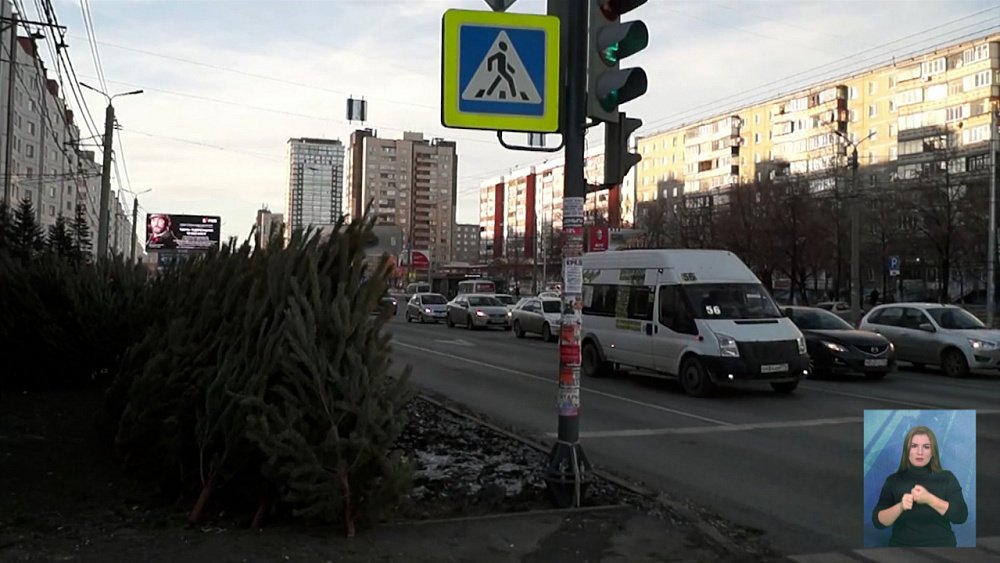 Владельцы елочных базаров мешают автомобилистам