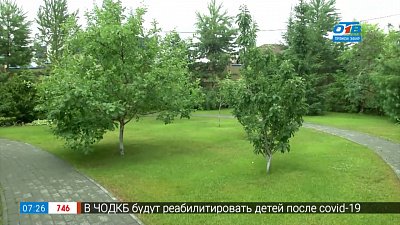 Как создать сад мечты в сюжете «Дизайнерский проект сада»