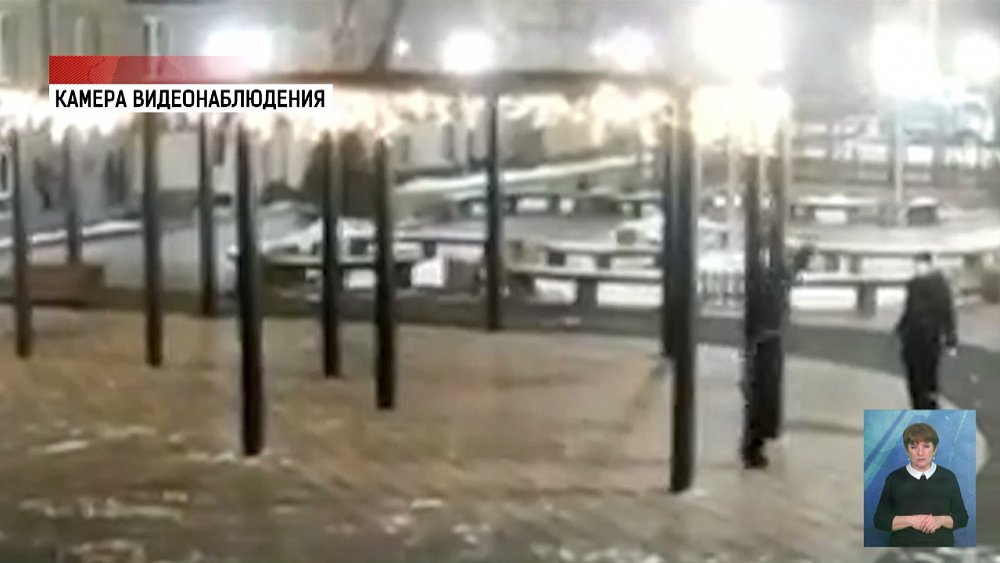 Хулиганов, спиливших ель, нашли