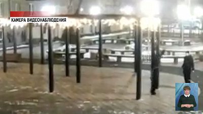 Хулиганов, спиливших ель, нашли