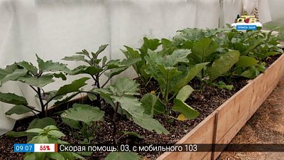 Макроэлементы для растений — в рубрике «Руки садовода»