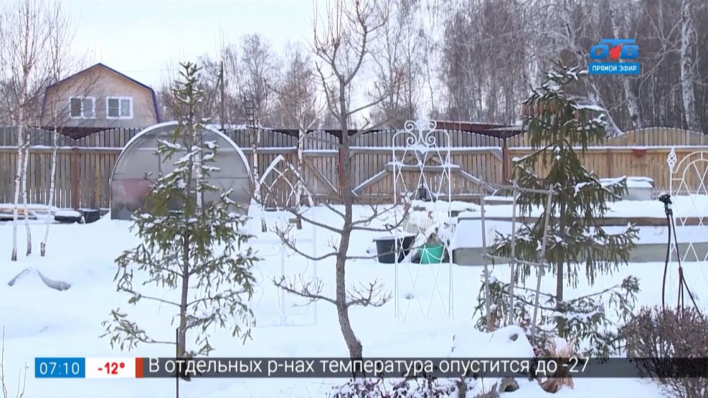 Ухоженный участок круглый год в сюжете «Зимние работы в саду»