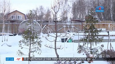 Ухоженный участок круглый год в сюжете «Зимние работы в саду»