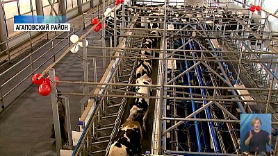 На Южном Урале открыли уникальную ферму