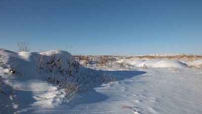 Полиция разбирается в скандале с пропавшей пенсионеркой