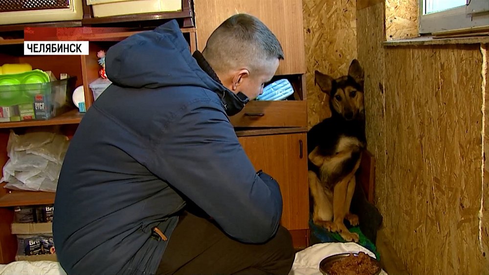 Сотрудники ГИБДД спасли собаку