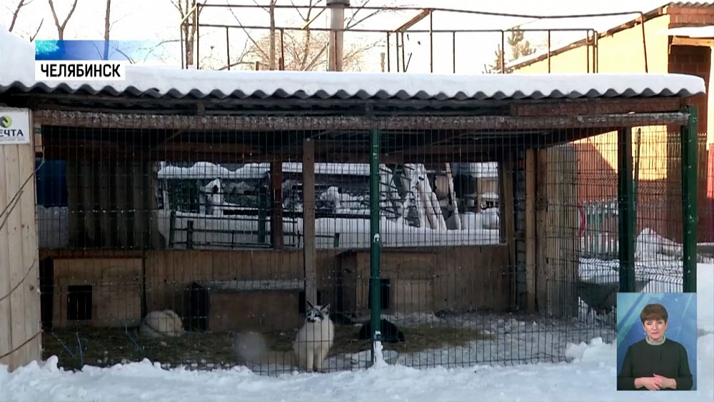 Приют диких животных получил подарки