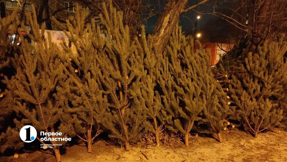 В челябинском зоопарке показали, как развлекаются животные с хвойными деревьями