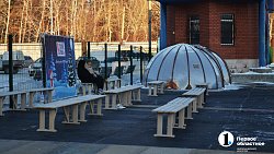 На каток всей семьей! Где кататься на коньках в новогодние праздники в Челябинске