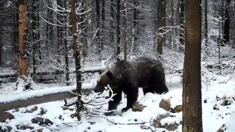 На Таганае рассказали о самых странных нарушениях во время посещения нацпарка