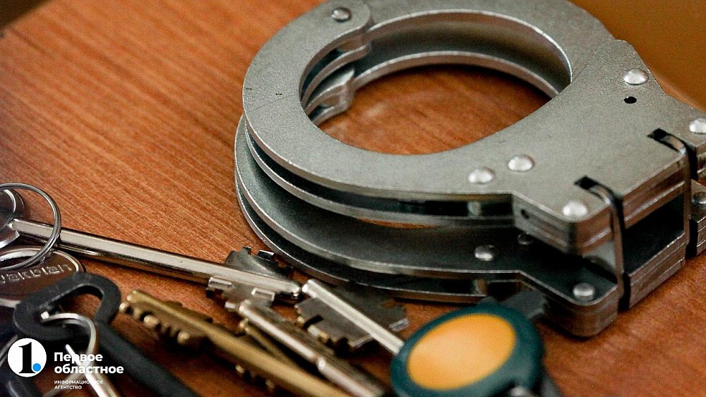 В России вступил в силу закон об уголовной ответственности за регулярные нарушения ПДД