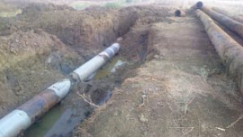 В Карталинском районе подрядчики нанесли ущерб экологии почти на 200 млн рублей В Карталинском районе подрядчики нанесли ущерб экологии почти на 200 млн рублей