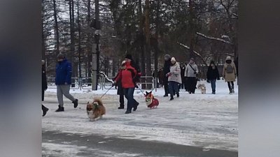 В Челябинске состоялась новогодняя коржовка