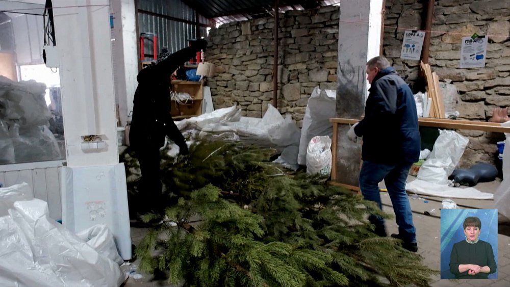 Куда утилизировать новогоднее дерево?