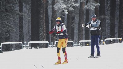 В Челябинском бору за 35 млн рублей продают руины лыжной базы