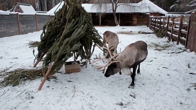 Время новостей. Итоги от 15.01.2022