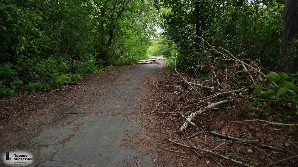 В Копейске по просьбе жителей сохранят деревья при благоустройстве парка