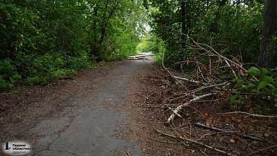В Копейске по просьбе жителей сохранят деревья при благоустройстве парка