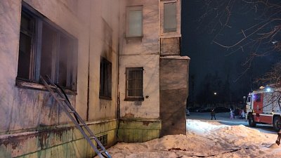 Собака спасла хозяина сгоревшей в Челябинске квартиры