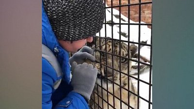 В Челябинском зоопарке Ермак получил порцию почесушек