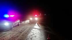 На дорогах Челябинской области за сутки погибли два пешехода