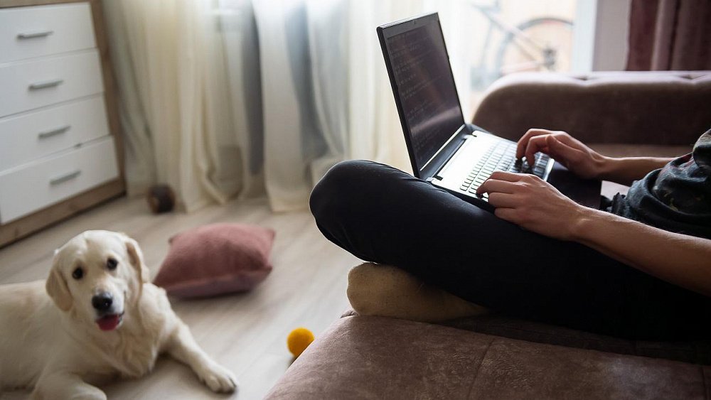 Власти Челябинской области просят работодателей перевести подчиненных на удаленку