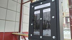 Голосуем окурками: в Копейске Чистомен установил необычную урну