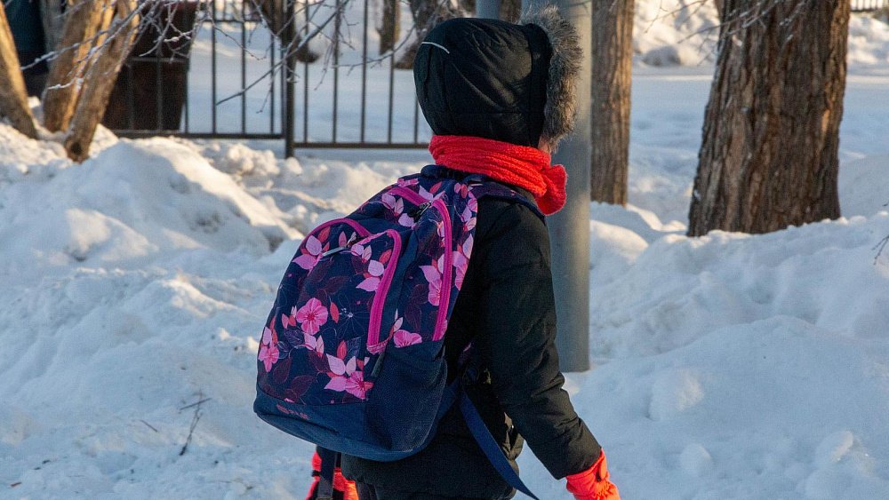 Школы Челябинской области, за исключением областного центра, учатся в обычном режиме