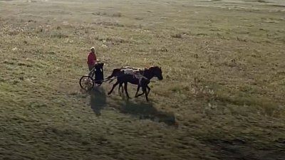 В Челябинске покажут фильм о найденной на Южном Урале колеснице бронзового века
