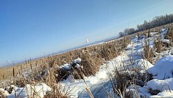 Минэкологии подтвердило сток канализационных вод в Шершневское водохранилище