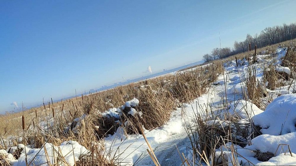«ЮжУралВодоканал» привлекут к ответственности за сток канализации в Шершневское водохранилище