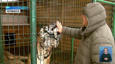 Акцию помощи животным продлили на год