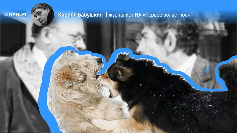 Наш закон собаке друг