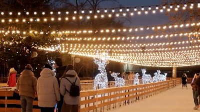 В Челябинске студенты отметили Татьянин день на катке