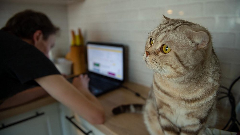 Челябинский психолог рассказала, как пережить дистант