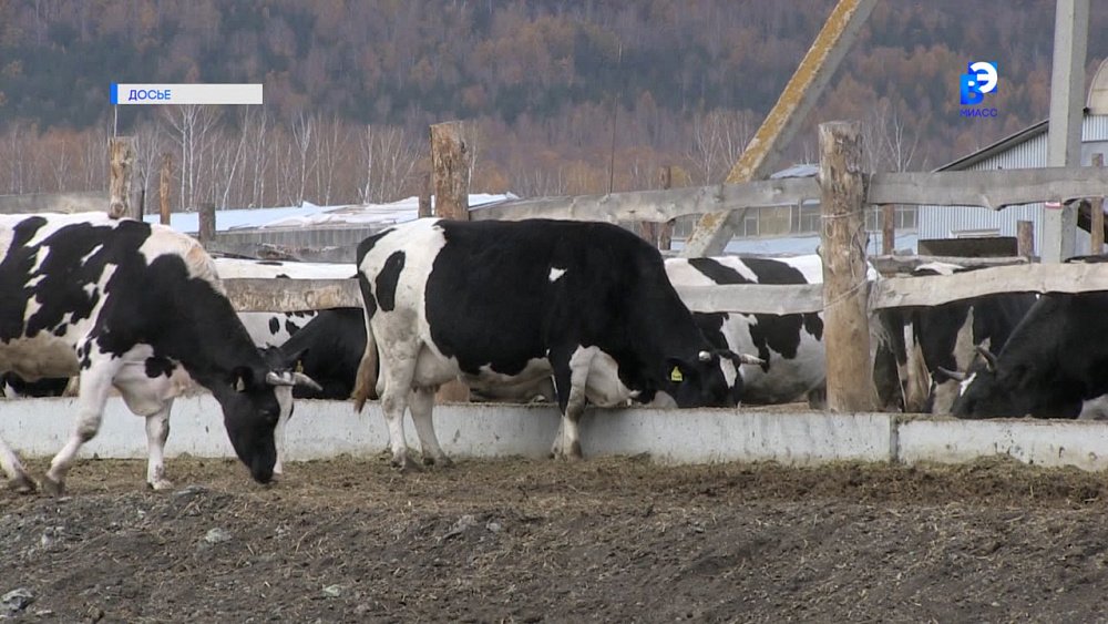 Южноуральские аграрии получат субсидии быстрее