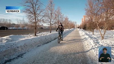 В Челябинске разрабатывают сеть велодорожек