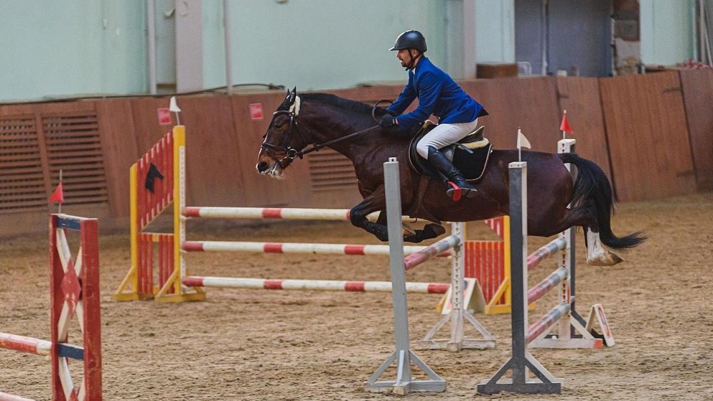 В Челябинской области пройдут соревнования по конному спорту «Рождественский кубок»