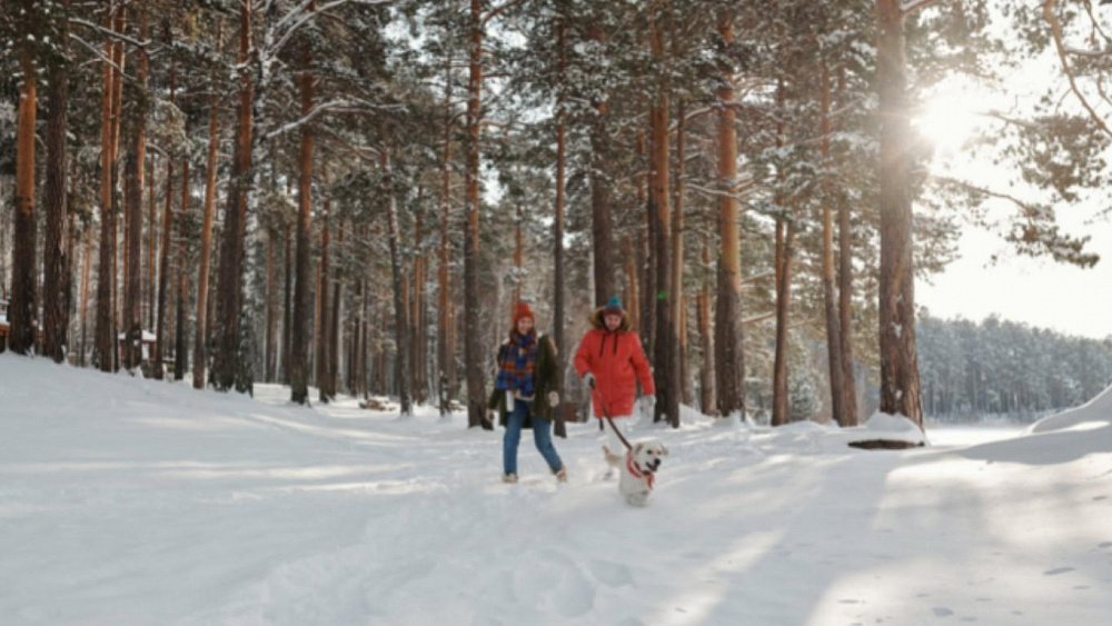 Какое занятие продлевает человеку жизнь