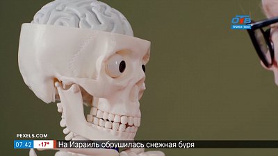 Как проводят МРТ мозга в сюжете «Исследования головного мозга»