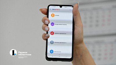 Жители Челябинской области смогут пользоваться «Госуслугами» и «Вконтакте» без интернета