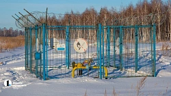 Евгений Ваганов: «Нам не нужен статус челябинцев»