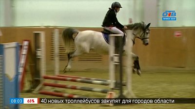 Турнир по конкуру в сюжете «Рождественский кубок»