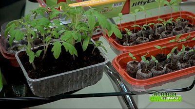 Зеленая передача 03.02.2022