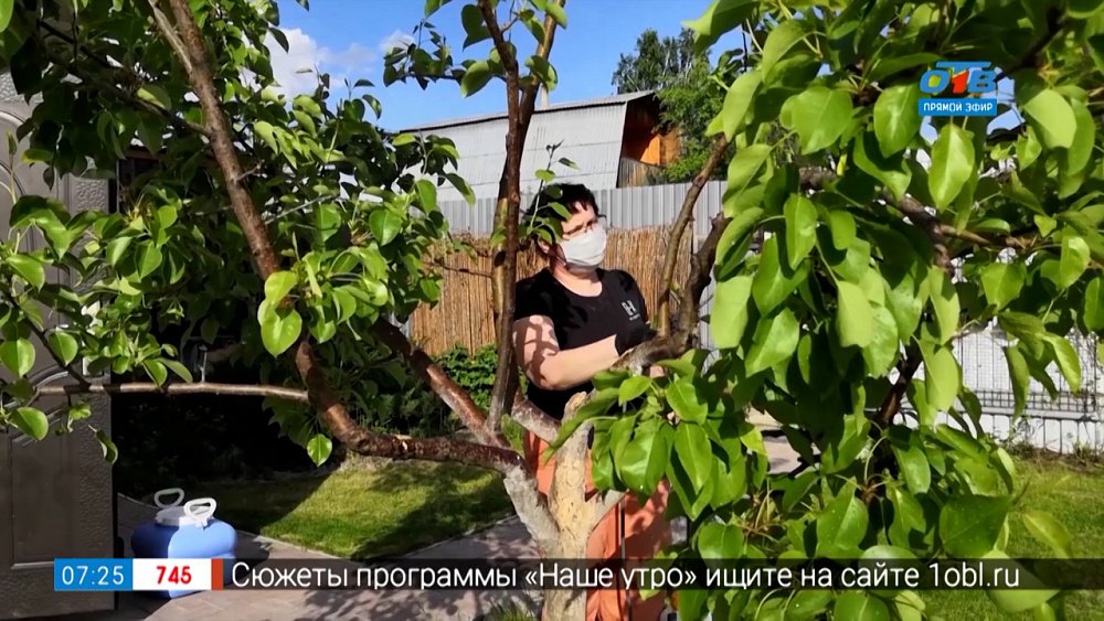 Аптечка садовода в рубрике «Руки садовода»